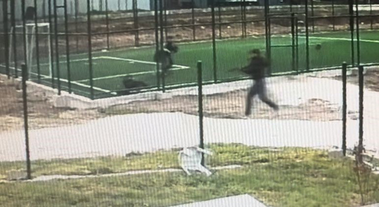 17 yaşındaki çocuk pompalı tüfekle dehşet saçtı: Ateş açarak koştu