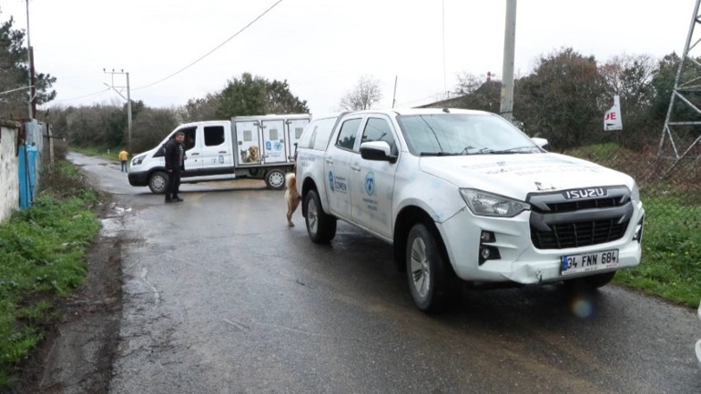 İstanbulda 6 yaşındaki çocuğa sokak köpekleri saldırdı