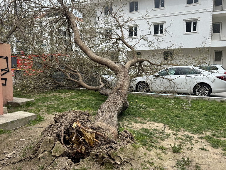12 ilde sarı kodlu alarm Meteorolojiden kuvvetli yağış ve fırtına uyarısı | Van-Hakkari kara yolu çığ nedeniyle kapandı: Araçlar mahsur kaldı
