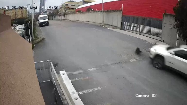  Köpeği ezip yoluna devam etti