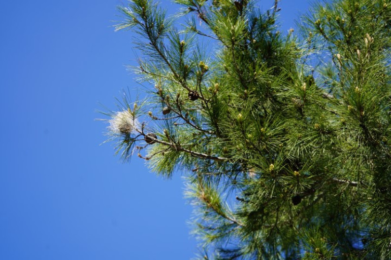  Uzman isim sessiz tehlikeye karşı uyardı