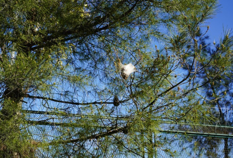  Uzman isim sessiz tehlikeye karşı uyardı