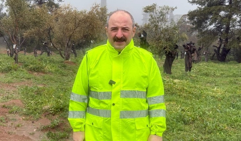 Mustafa Varank, Yeniköy termik santrali maden sahasındaki zeytin ağaçlarının taşınması sürecini yerinde inceledi