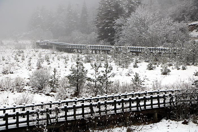 Her yer beyaza büründü 14 ilde kar yağışı ve sağanak uyarısı | Baharı beklerken kış geri geldi