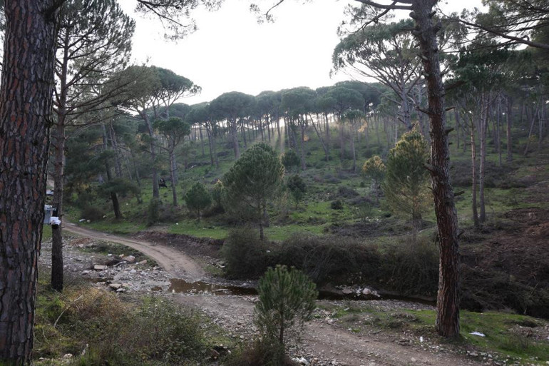  Vatandaş korumak için harekete geçti