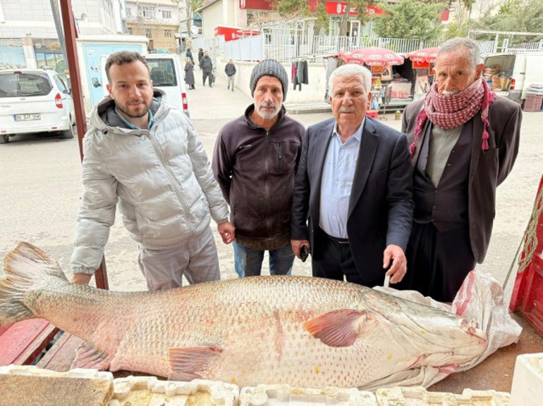 Görenler şaşkına döndü