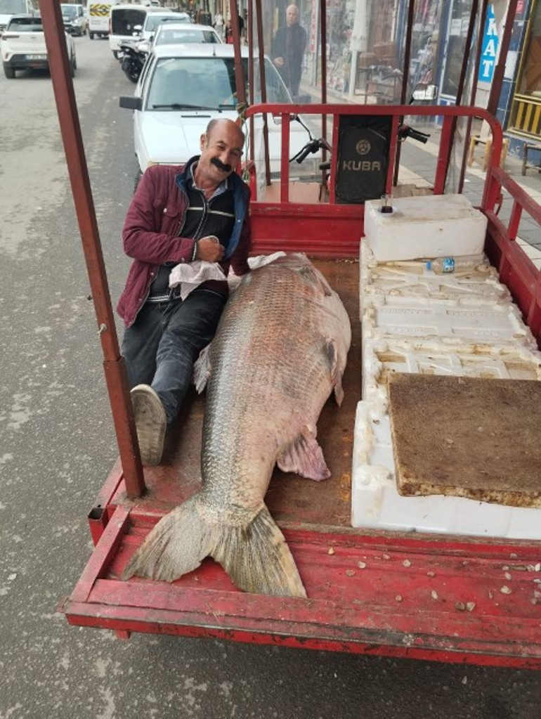 Görenler şaşkına döndü