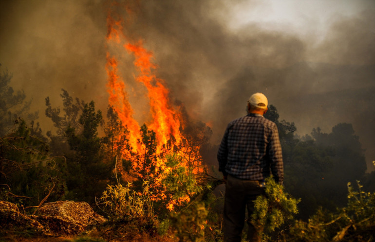 Türkiyede geçen yıl 3 bin 224 orman yangını çıktı