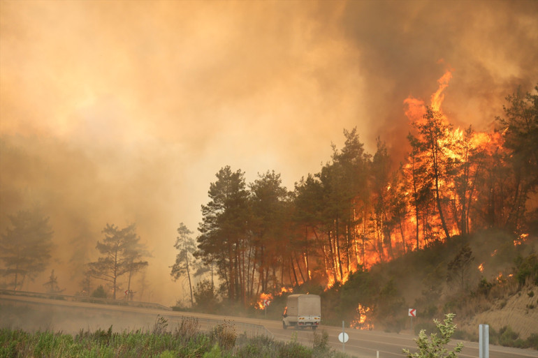 Türkiyede geçen yıl 3 bin 224 orman yangını çıktı