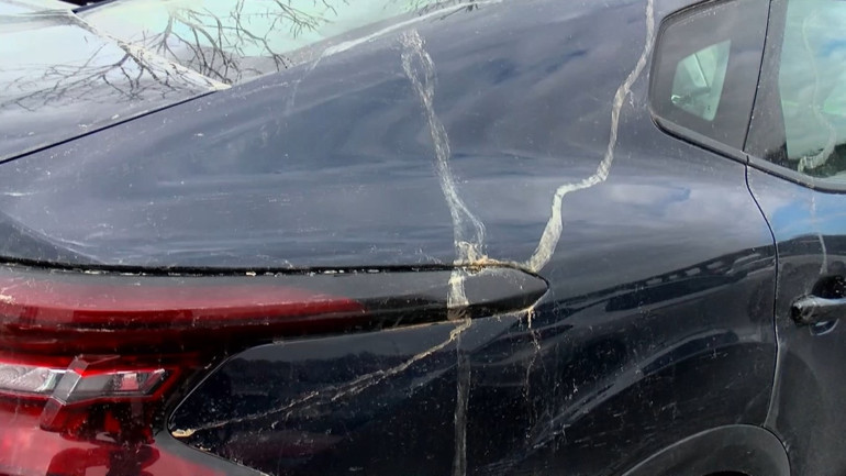  Görünce oto yıkamacıya koştular