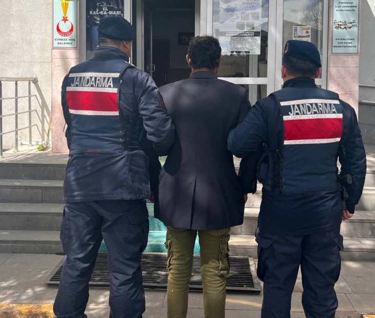 Fazla yediği için köpeği katleden kişi tutuklandı