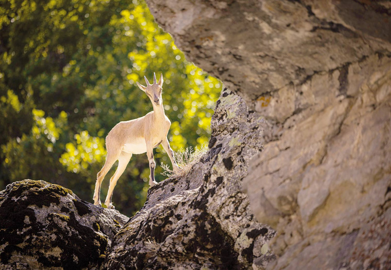 Türkiye’nin güzellikleri ödüllendirildi