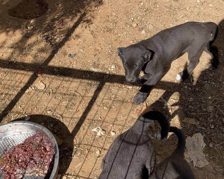  Vicdansızlara 327 bin lira ceza kesildi