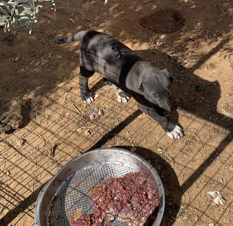  Vicdansızlara 327 bin lira ceza kesildi