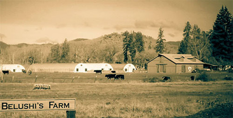  50 tane buzağım var, peşimden ayrılmıyorlar