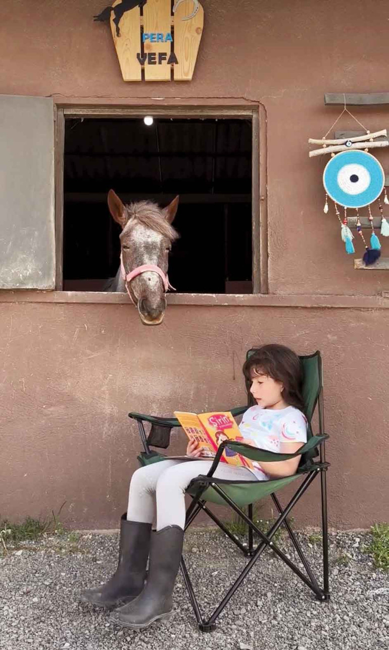 Yılkı atından şampiyon çıkaran sevgi... Pera’nın Vefası