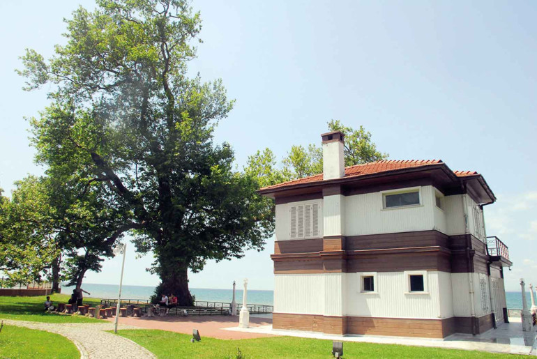 Yürüyen Köşk’ün çınarı Anıtkabir’de