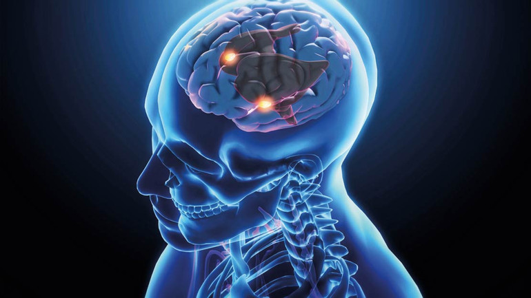 Genetik obezite kader değil