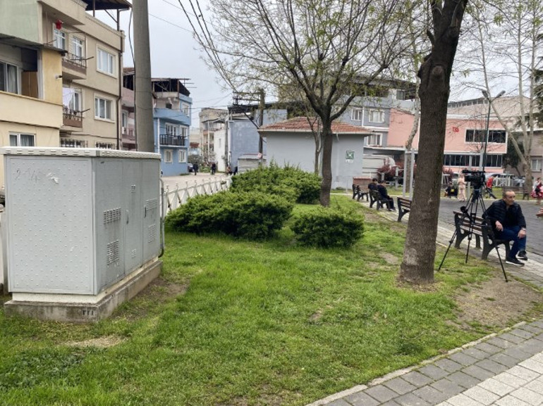 Parktaki bitki küçük çocuğu hastanelik etti