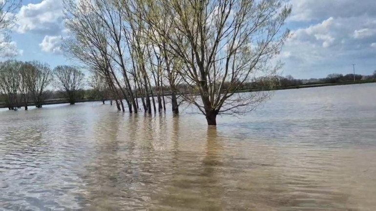 Meriç Nehri taştı, sular yollara ulaştı