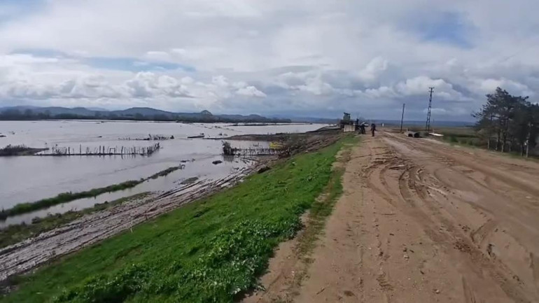 Meriç Nehri taştı, sular yollara ulaştı
