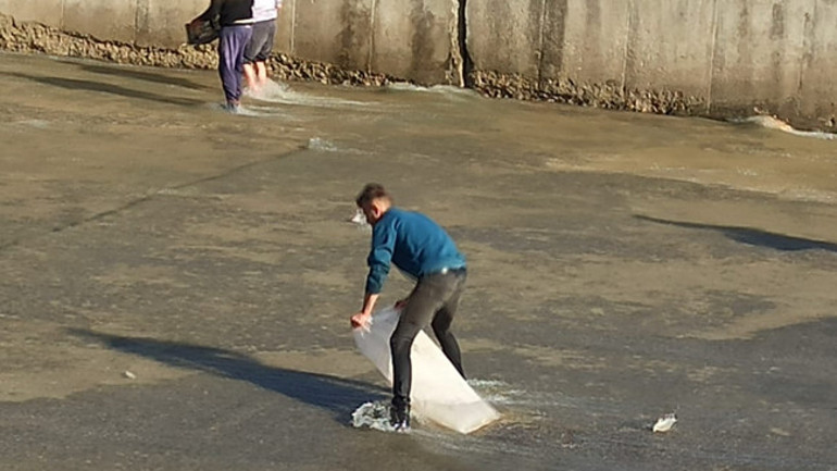  Çuval ve kasalarla topladılar