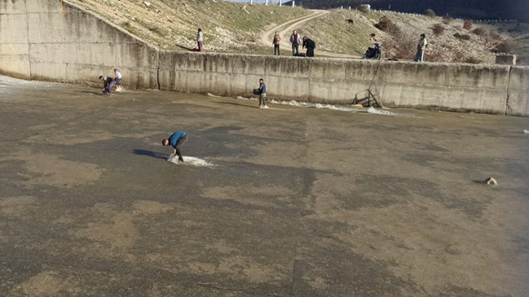  Çuval ve kasalarla topladılar