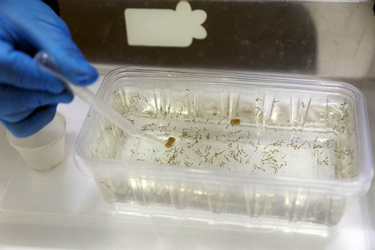  Tehdit artıyor Tahliye edilmesi gerekiyor, yoksa mücadele zorlaşacak