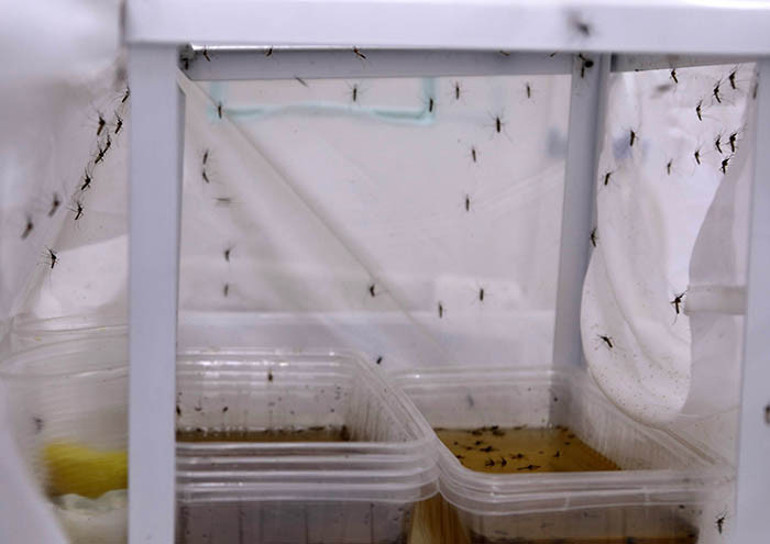  Tehdit artıyor Tahliye edilmesi gerekiyor, yoksa mücadele zorlaşacak