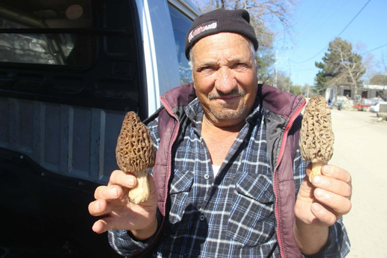  Kilosunu 1.000 liraya satıyorlar