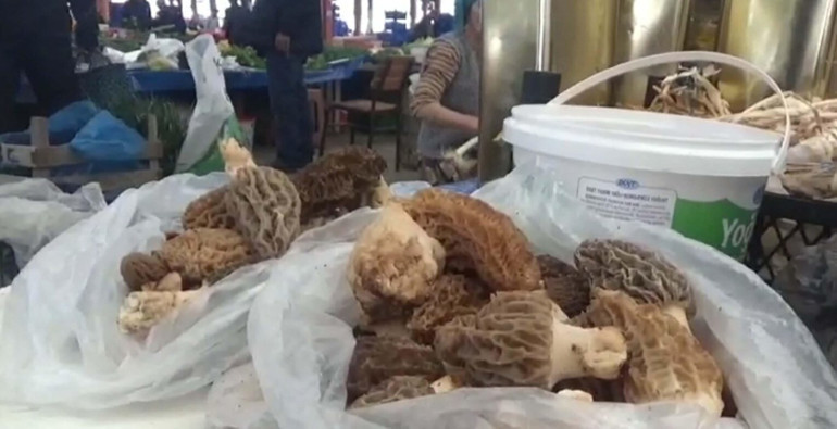  Kilosunu 1.000 liraya satıyorlar