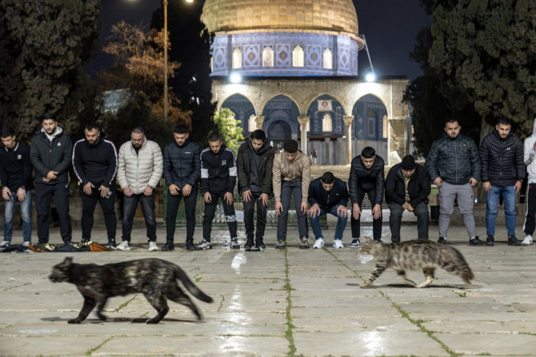 Mescid-i Aksa, 41 gün sonra ibadete açıldı