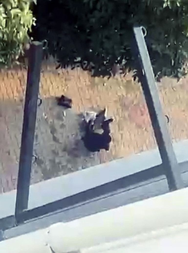  Can güvenliğim yok | Çocuklarının gözü önünde kurşun yağdırdı