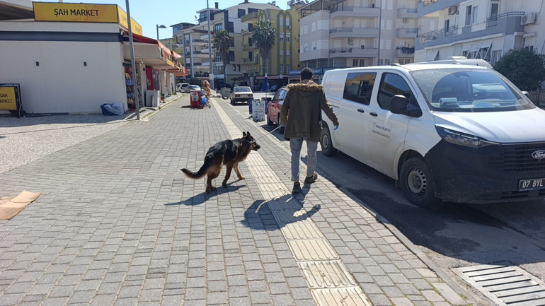Alman kurduyla dalaşan köpek, kendisini tutan sahibinin parmağını parçaladı