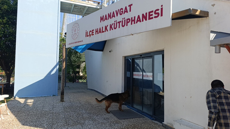 Alman kurduyla dalaşan köpek, kendisini tutan sahibinin parmağını parçaladı