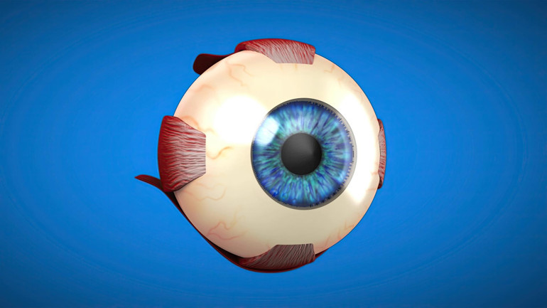 Retina hastalıklarında vitreoretinal cerrahi (vitrektomi)