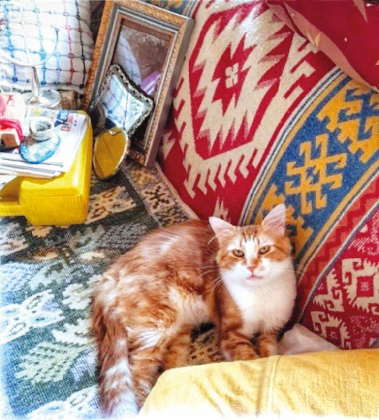 Neden mamalarını yarım bırakıyorlar