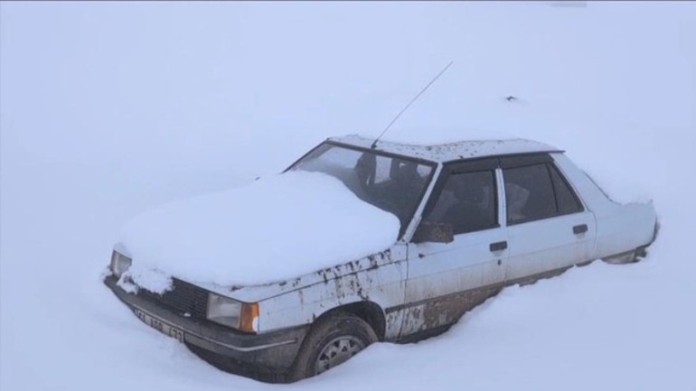 Kar suyu içerek hayatta kalıyor İkinci bir saldırıyı önlemek için buradayım