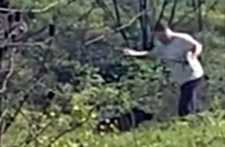 Çevredekilerin tepkilerine aldırış etmedi Avcılarda köpeğe şiddet kamerada... Şüpheli aranıyor