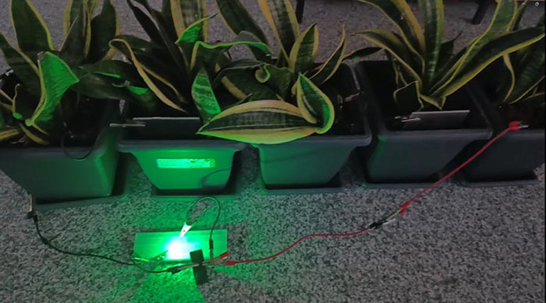  25 metrekarelik alana yetiyor Oğlumun sorduğu bir soruyla her şey başladı