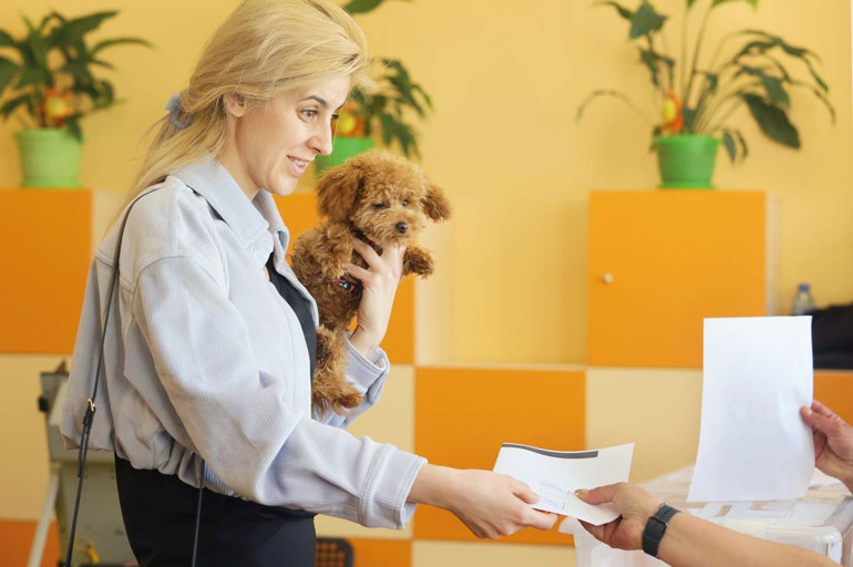 Bulgaristan 5 yılda 8’inci kez sandığa gitti… Radev’den ezici zafer