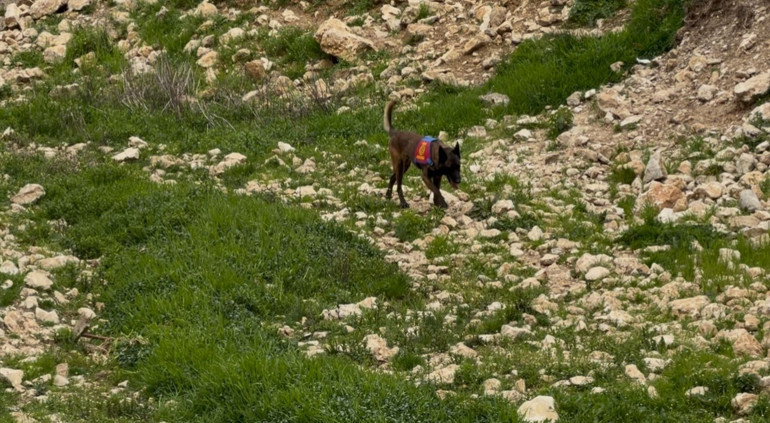 Gülistan Doku soruşturması | JAK ve JASAT ekiplerinden geniş çaplı arama