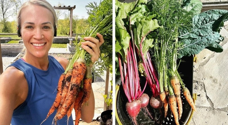 Ünlü şarkıcı 400 dönümlük çitliğinde huzuru buldu… ‘Burada yetiştirdiklerim tüm ailemi doyuruyor’