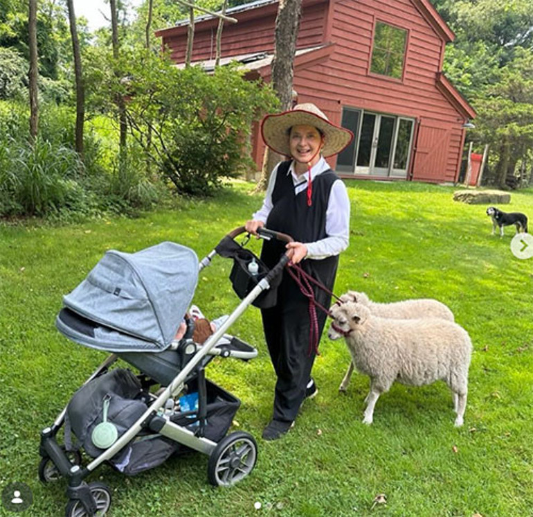  Tavukların yumurtası, kuzuların tüyü gelir kapısı oldu... Sonunda bal işine de girdi