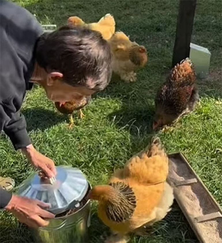 Ekranın yıldızı Doğal yaşam dedi, hayatı karardı: Milyonluk çiftliğini yel üfürdü, su götürdü...Atları bile yuvasız kaldı