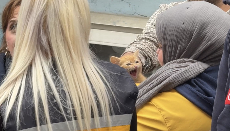 Yangında evde mahsur kalan yavru kedi kurtarıldı