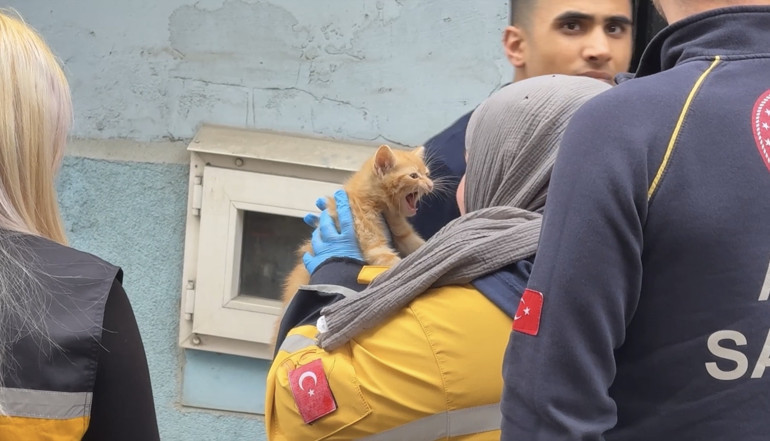 Yangında evde mahsur kalan yavru kedi kurtarıldı