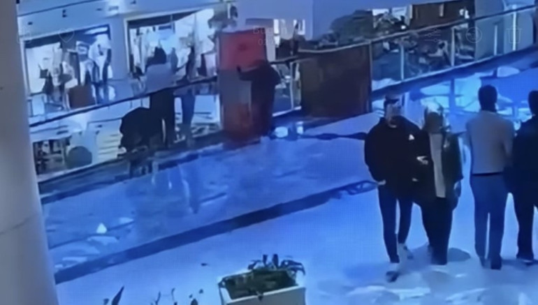 Oyun oynayacak yaşta ama yaptığına bakın İstanbulda yakalanan çocuğun sabıka kaydı pes dedirtti