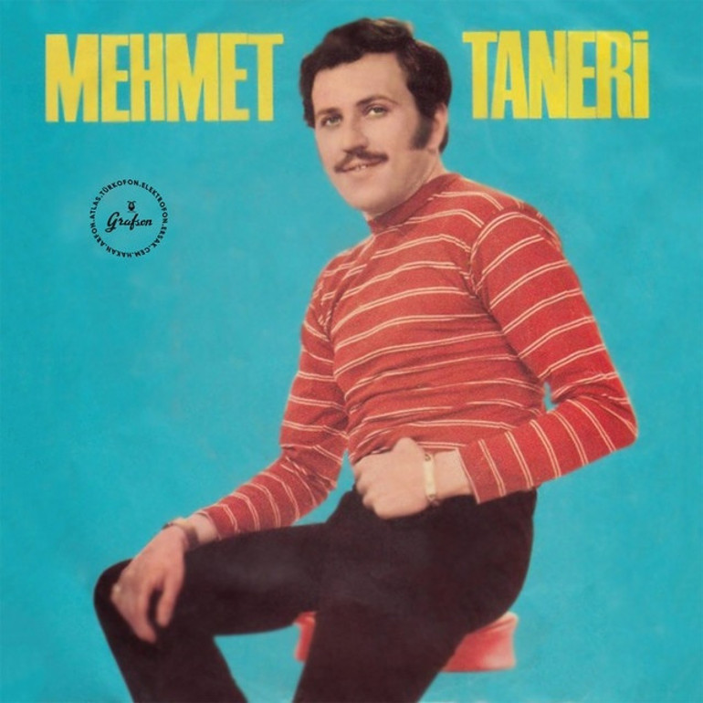 Ünlü sanatçı Mehmet Taneri hayatını kaybetti