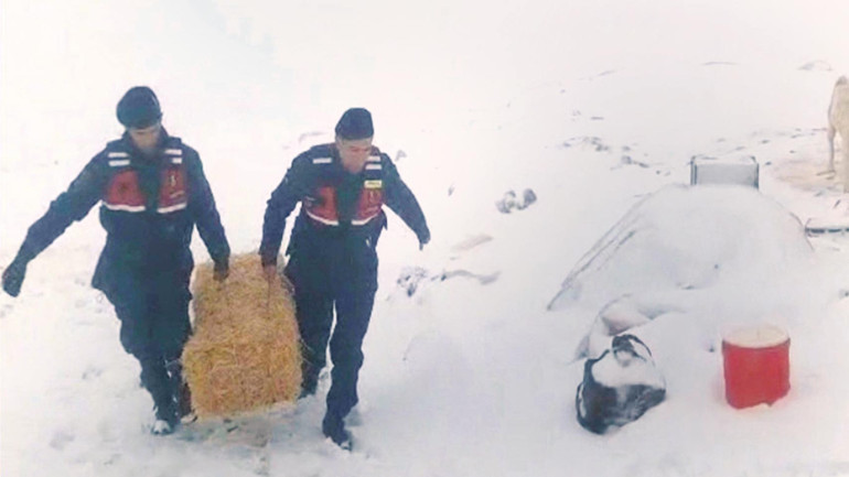 Ve körfezler için o gemiler geldi